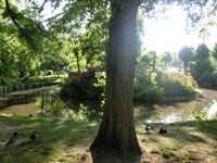 Ferienwohnung in Bad Oldesloe Bild 19