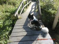 Ferienwohnung in Bad Oldesloe Bild 17