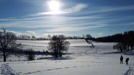 Ferienwohnung in Bad Oldesloe Bild 16