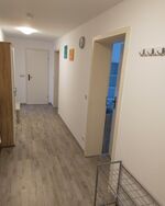 FLEX Aparts - große, möblierte 2-Raum Wohnung in Zwickau Bild 9