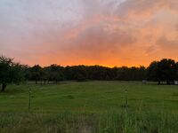 Landhaus Brigitte Bild 19