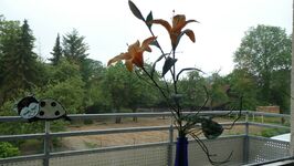 Ferienwohnung Uhe Bild 17