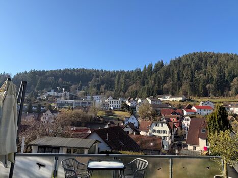 Appartementhaus-Paradiso und Hilld Monteurunterkünfte Bild 1