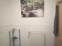 Monteurwohnung Luzia13 Wesseling Bild 13