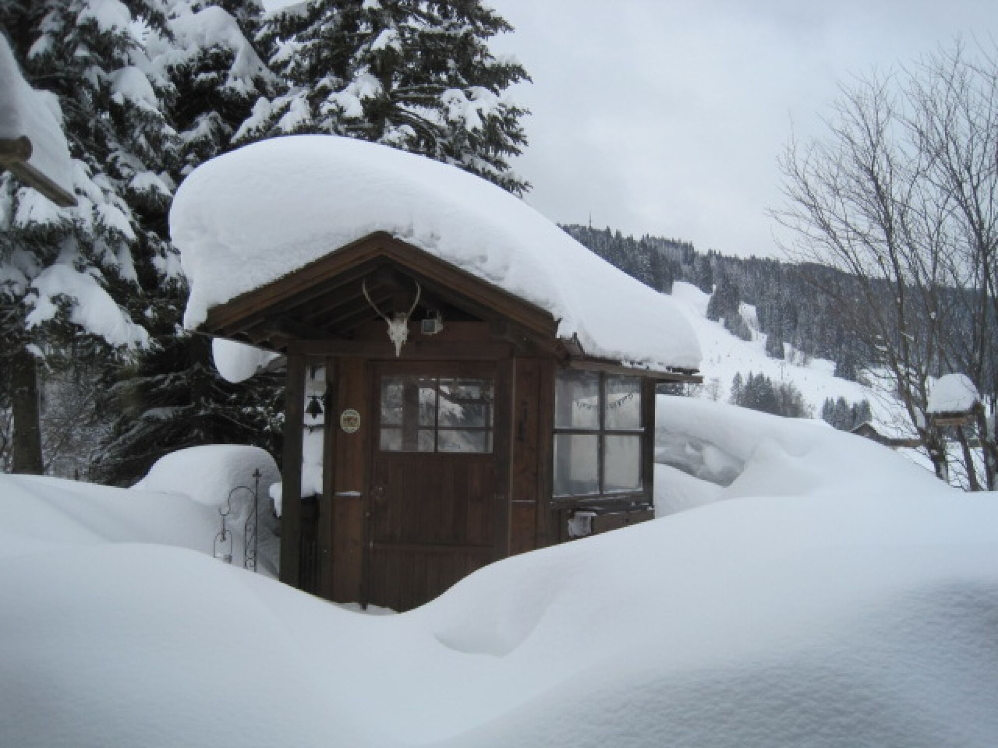 Garten im Winter