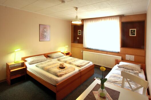 Pension Leitingshof (Borken/Weseke) Picture 4